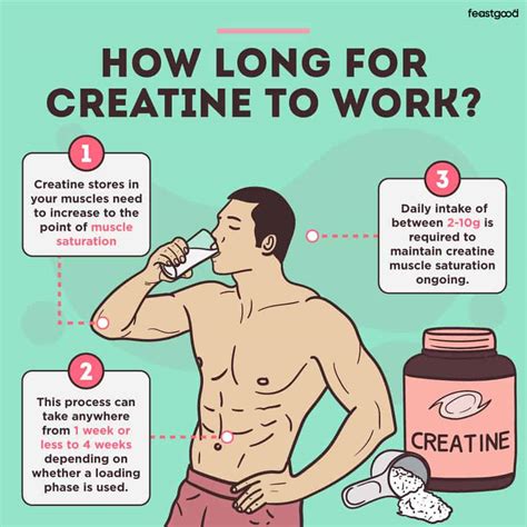 how long does it take for creatine to wear off